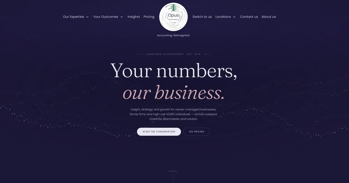 Opus Accountancy website hero